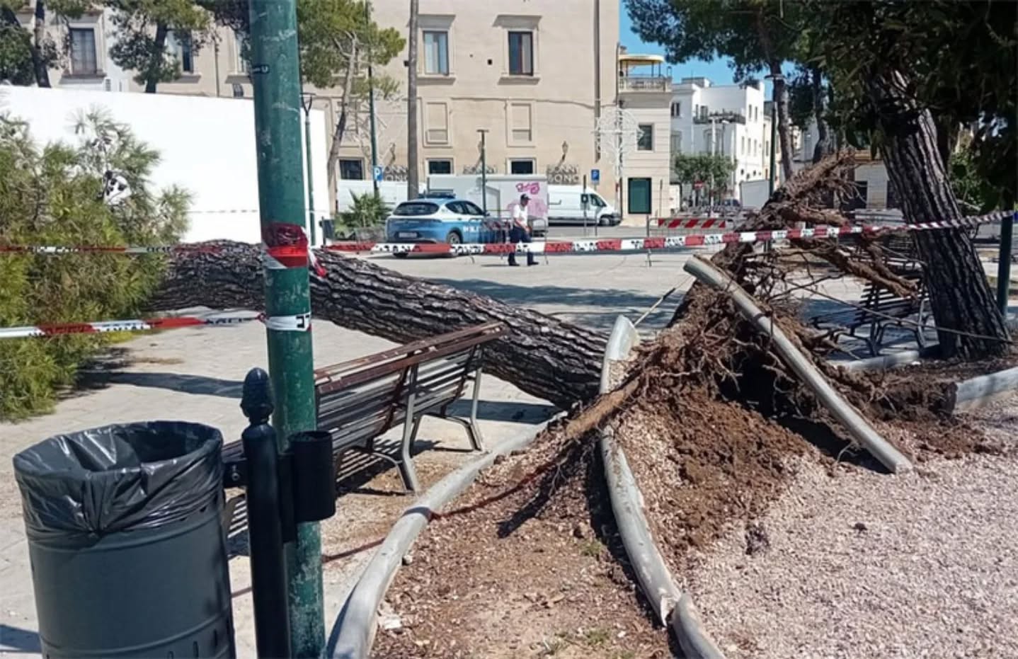 Galatina: un grosso albero di pino cade in piazza Alighieri a causa del forte vento
🌐 www.galatina24.it