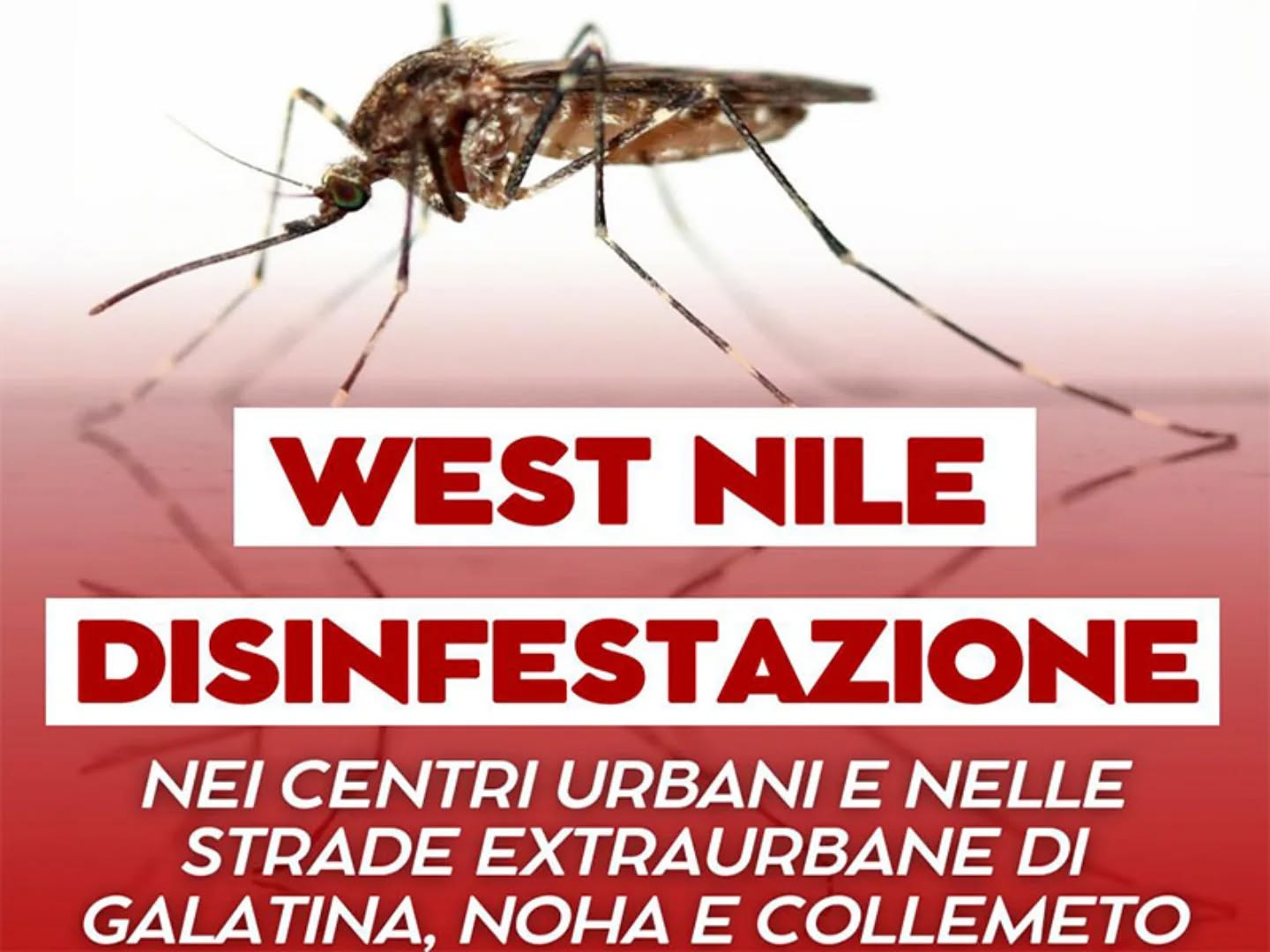 West Nile, disinfestazione nei centri urbani e strade extraurbane di Galatina, Noha e Collemeto
🌐 www.galatina24.it