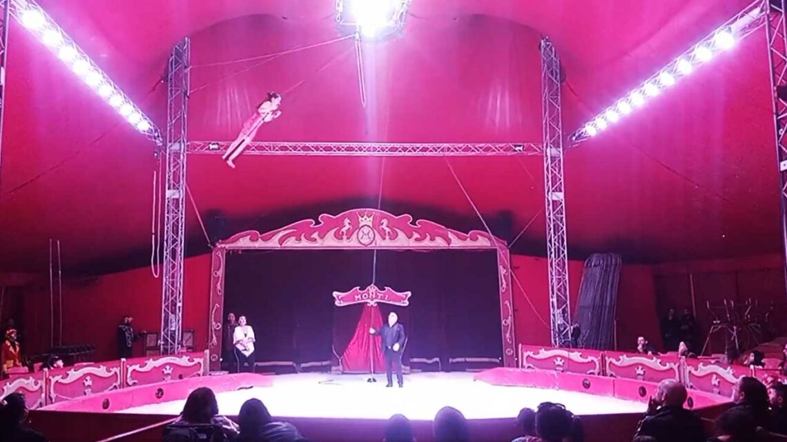 Vola sul suo trapezio, vola verso i suoi sogni. La giovanissima Amy incanta il pubblico del circo Vola sul suo trapezio, vola verso i suoi sogni. La giovanissima Amy incanta il pubblico del circo