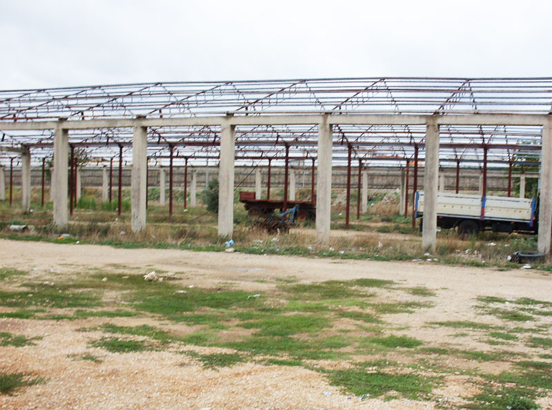 Galatina: 1 milione e 200 mila euro per la realizzazione di un asilo nido nell’area ex-foro boario Galatina: 1 milione e 200 mila euro per la realizzazione di un asilo nido nell’area ex-foro boario