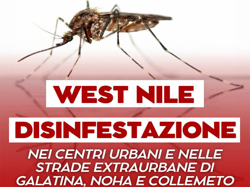 West Nile, disinfestazione nei centri urbani e strade extraurbane di Galatina, Noha e Collemeto West Nile, disinfestazione nei centri urbani e strade extraurbane di Galatina, Noha e Collemeto