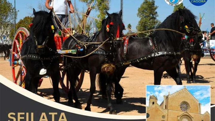Sfilata di Santa Caterina d’Alessandria: carri, cavalli e traini d’epoca percorrono le vie della città
