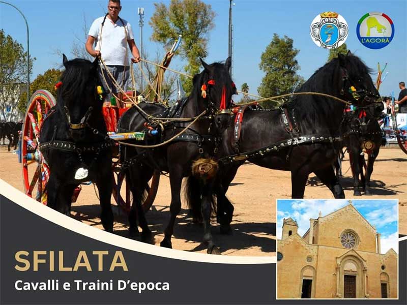 Sfilata di Santa Caterina d’Alessandria: carri, cavalli e traini d’epoca percorrono le vie della città
