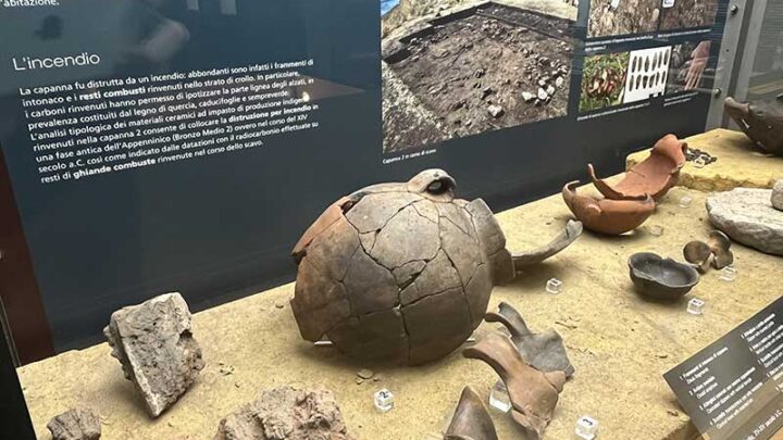 Al MuSA, l’inaugurazione della nuova sezione espositiva “Torre Guaceto nell’Età del Bronzo”