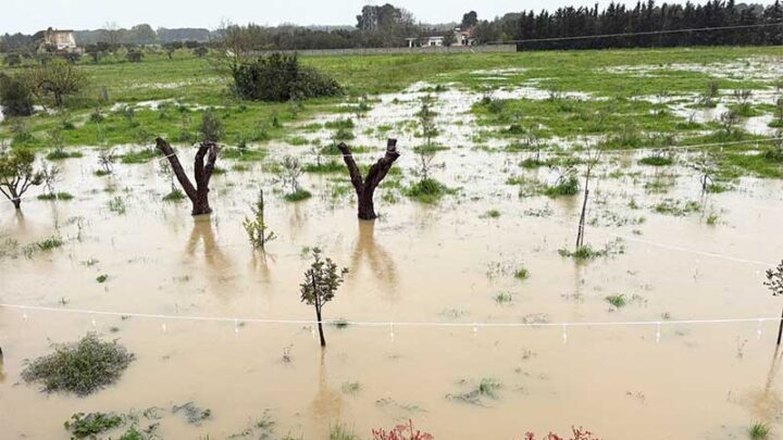 Esondazione del canale dell’Asso. Il PD di Noha denuncia e chiede interventi immediati