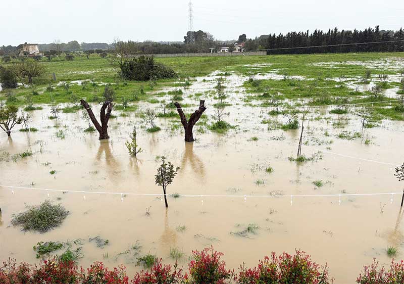 Esondazione del canale dell’Asso. Il PD di Noha denuncia e chiede interventi immediati