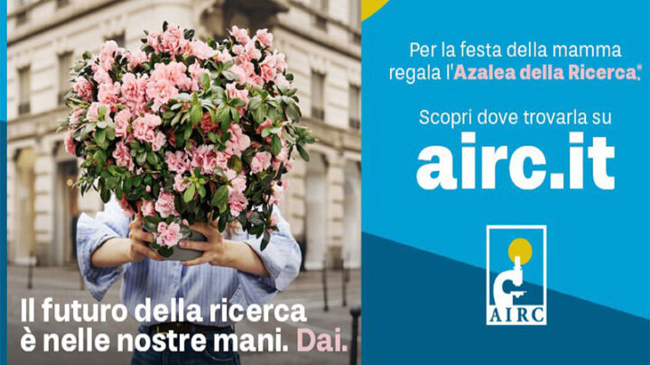 La ricerca fiorisce anche a Galatina: oggi torna l’Azalea della ricerca di AIRC