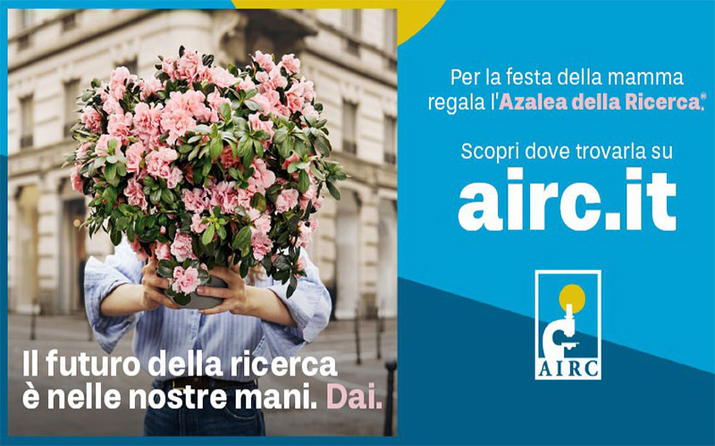 La ricerca fiorisce anche a Galatina: oggi torna l’Azalea della ricerca di AIRC