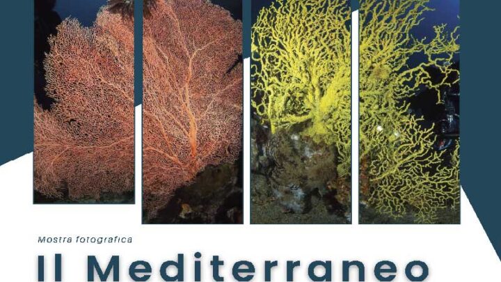 “Il Mediterraneo che si trasforma. Il cambiamento climatico nei mari del Salento”