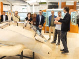 In mostra al MAUS il modello di una tartaruga marina fossile del Miocene