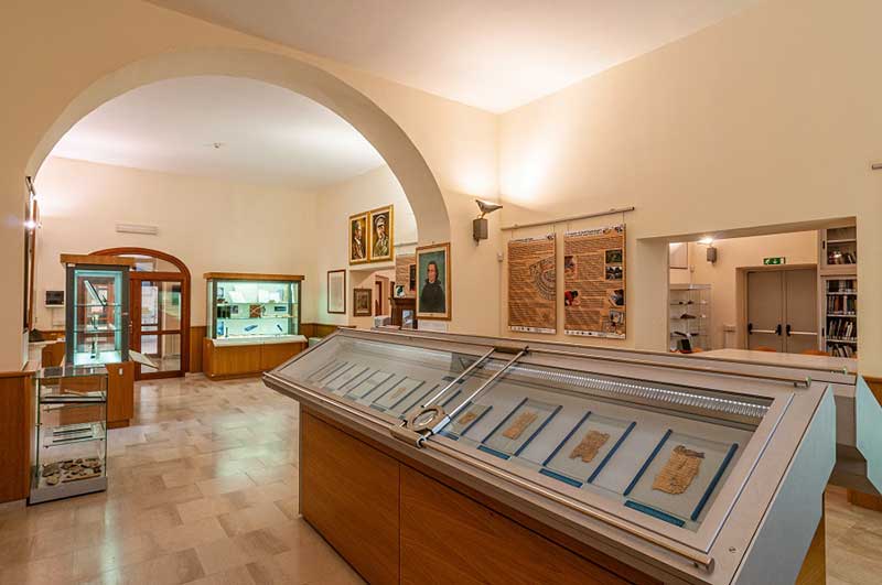 “Musei che uniscono un mondo diviso”: attività gratuite tra papiri, archeologia e percorsi partecipativi