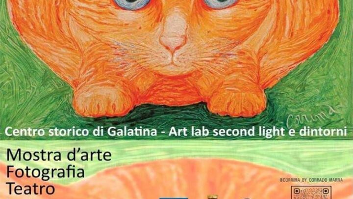 Mostra d’arte, fotografia, teatro, letture e performance. A Galatina “Gatti…amo” a cura di Art Lab Second light