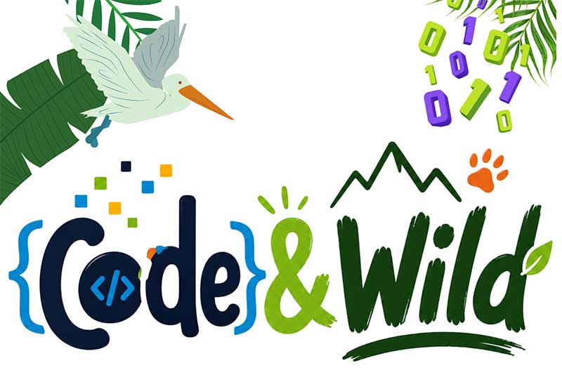 Code&Wild: l’Intelligenza Artificiale e il Coding al servizio della Biodiversità a Roca Vecchia